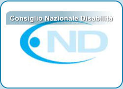 Consiglio Nazionale Disabilità